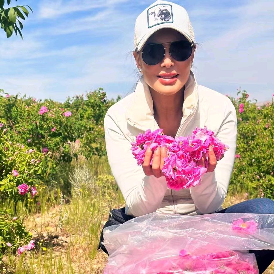 GOLBANOO伊朗大马士革玫瑰精油