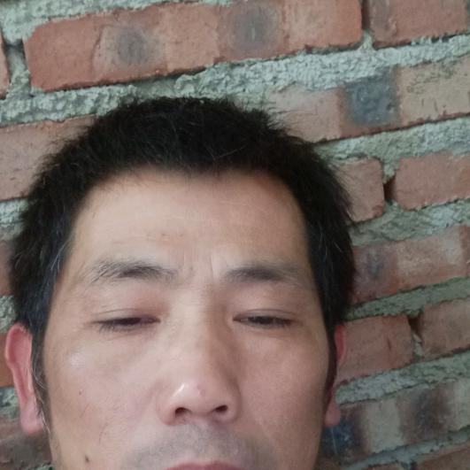 希望明天更好