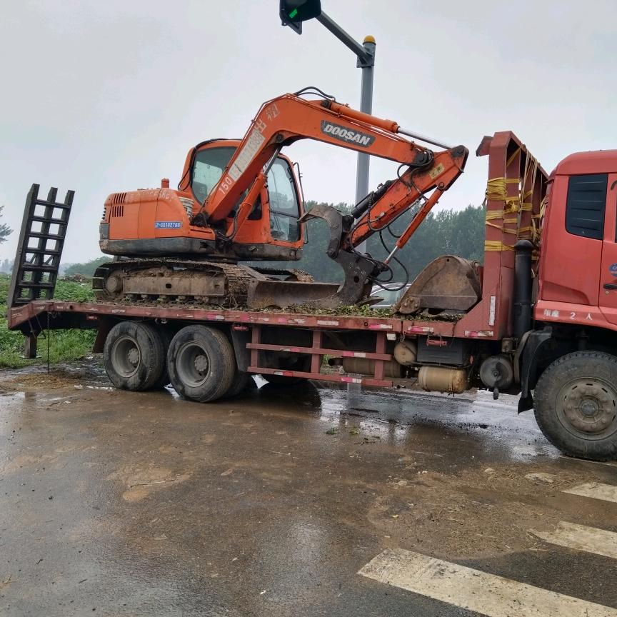 专业挖树根，果树，园林，杂树清理