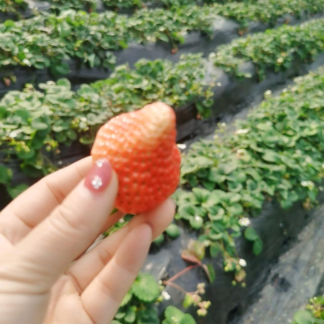 习惯💞有你