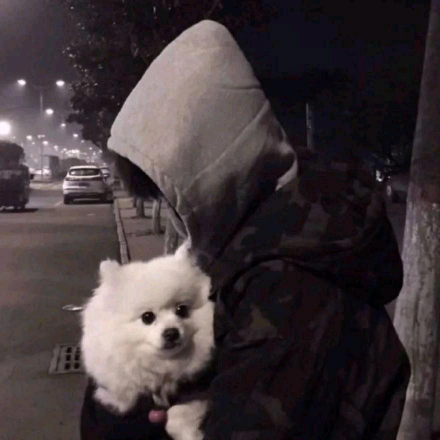 是啵啵啊