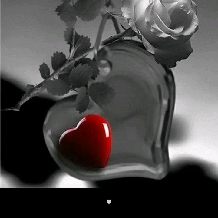 ŠêฟGiηiℳ