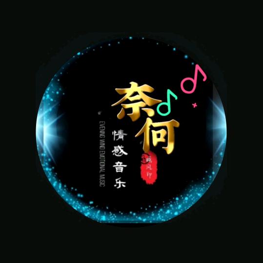 奈何~情感音乐