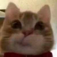 梨梨…