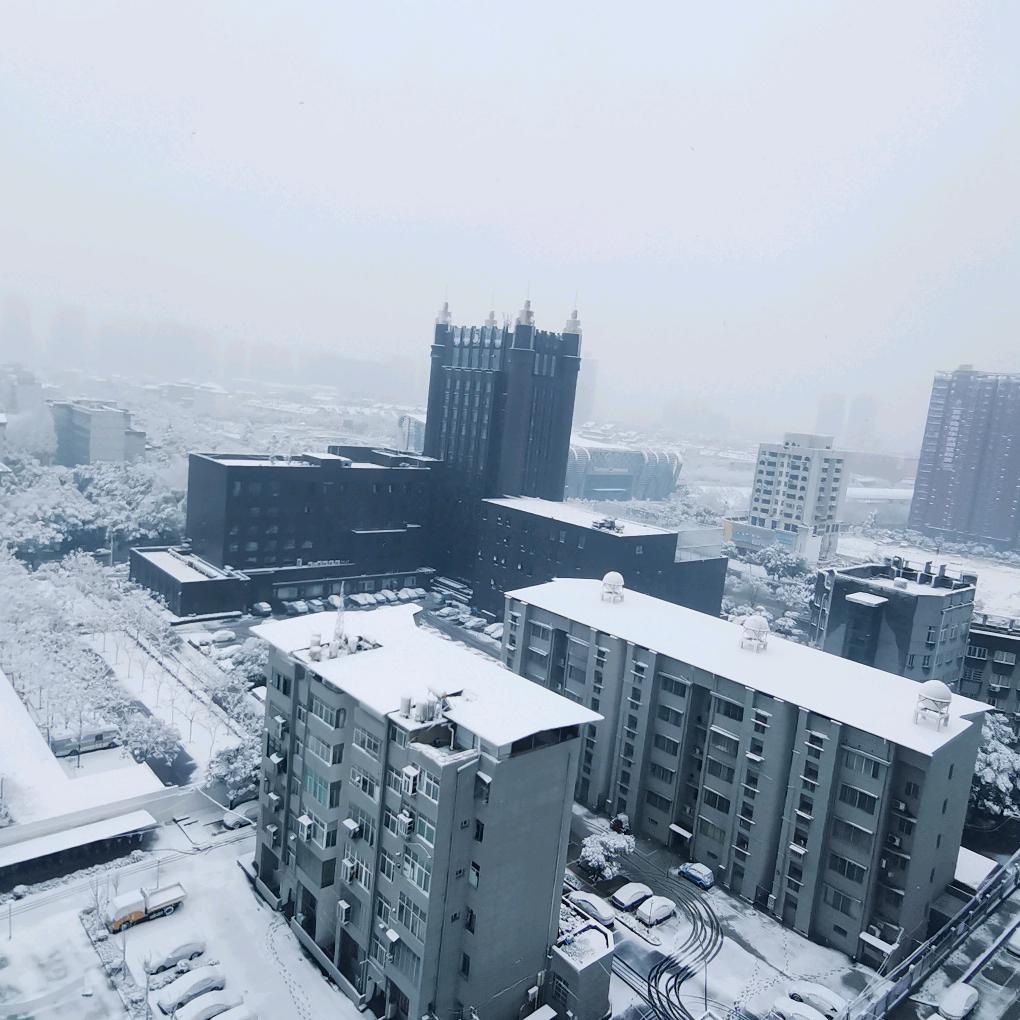 孤影偎斜阳