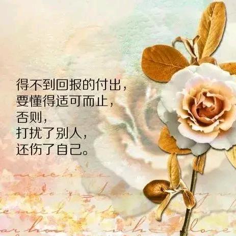 随缘不随意