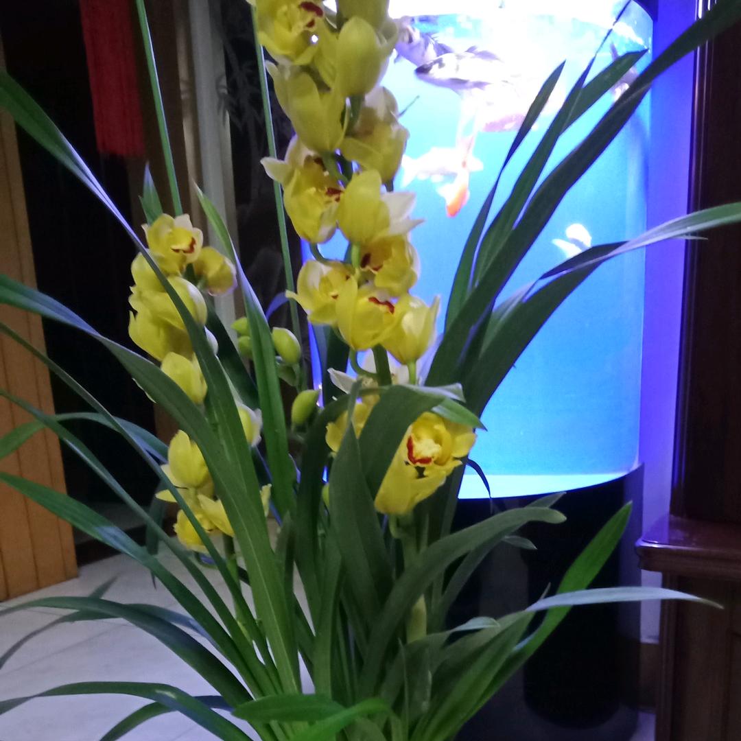 @🌈花花🌈@