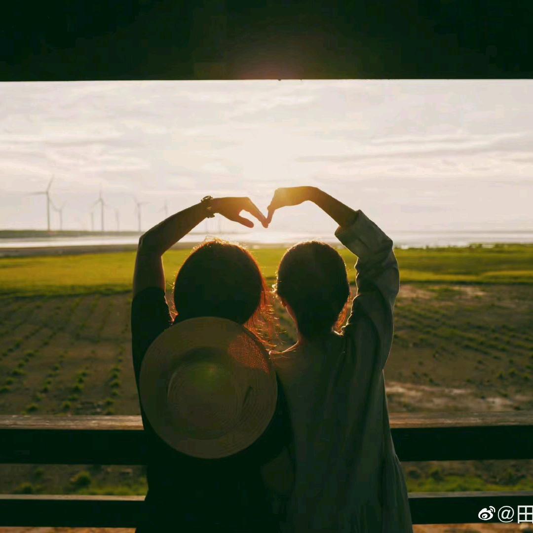 爱圈圈儿的三只🐑