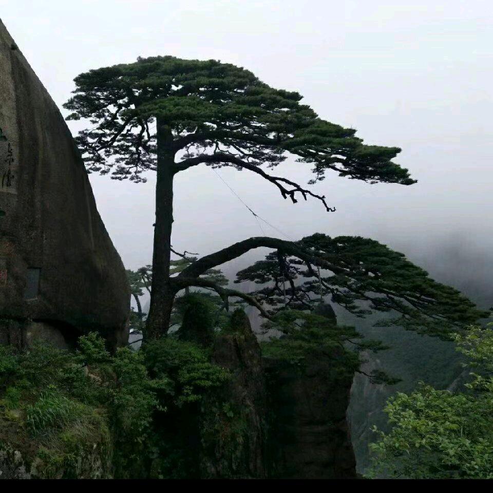老李飞刀