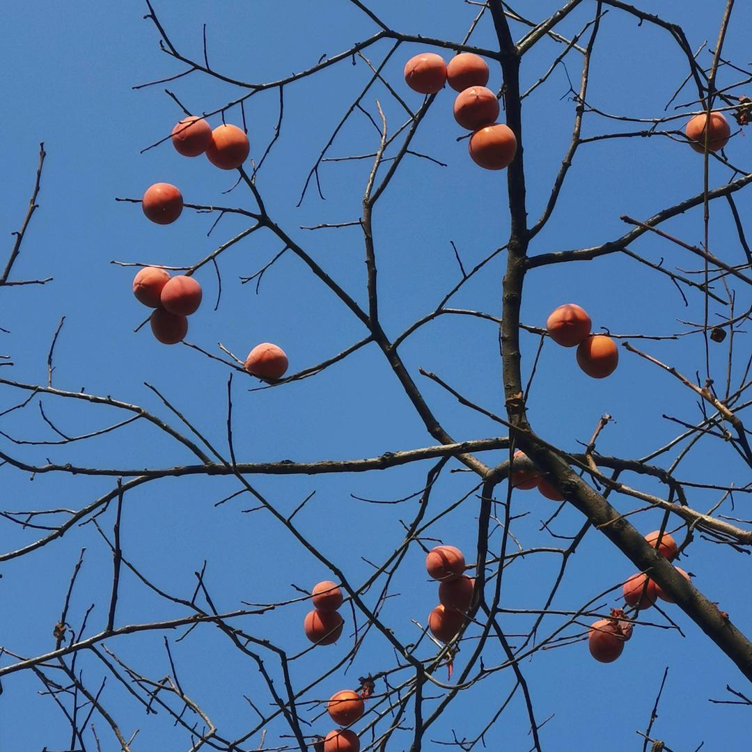 放下那过去的誓言