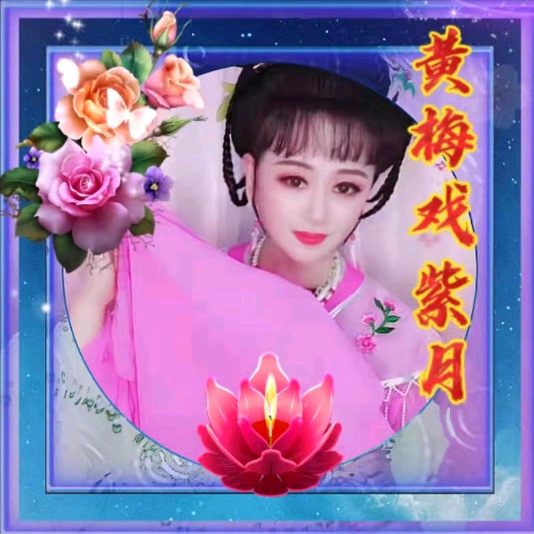 黄梅戏紫月