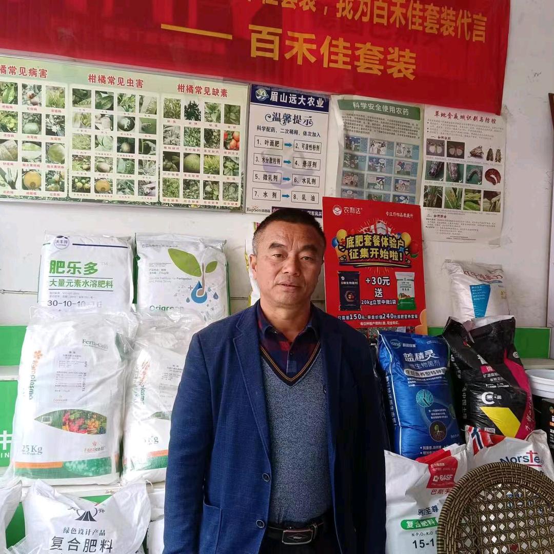 代连金柑橘修剪