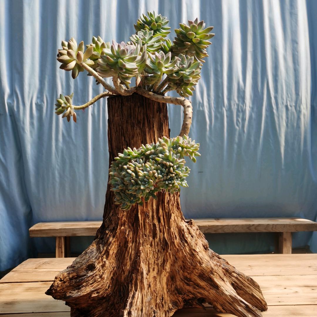 活在当下的人…