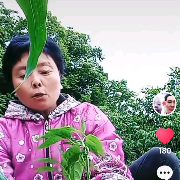 农琴姐