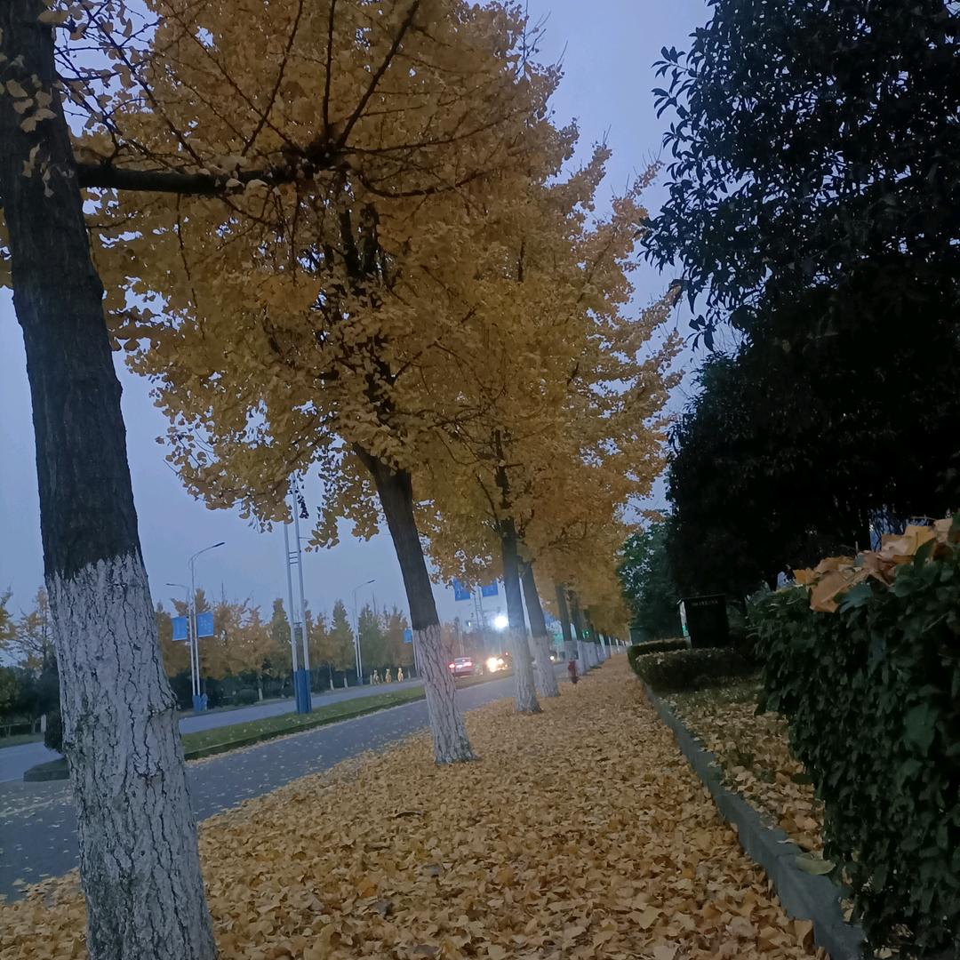 wx