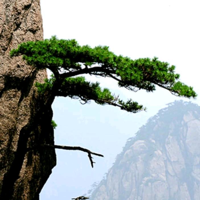 皇华刮腻子哥（诸城）