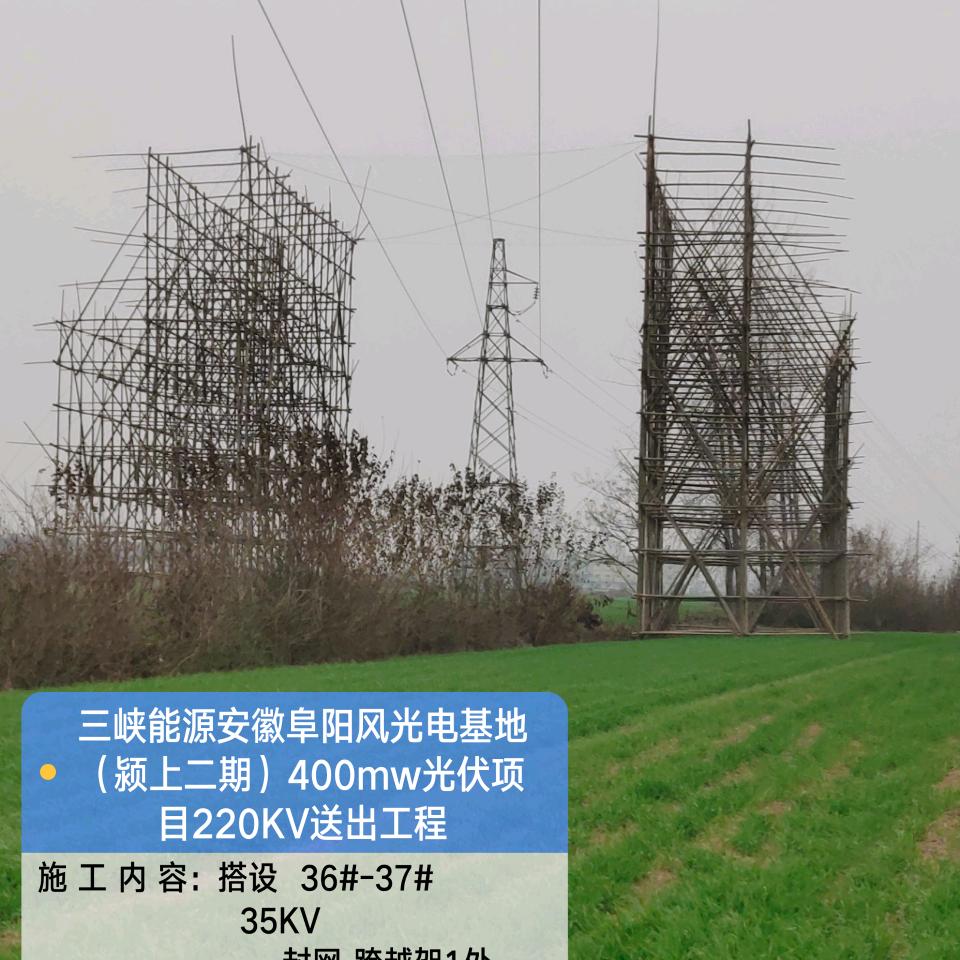 保龙