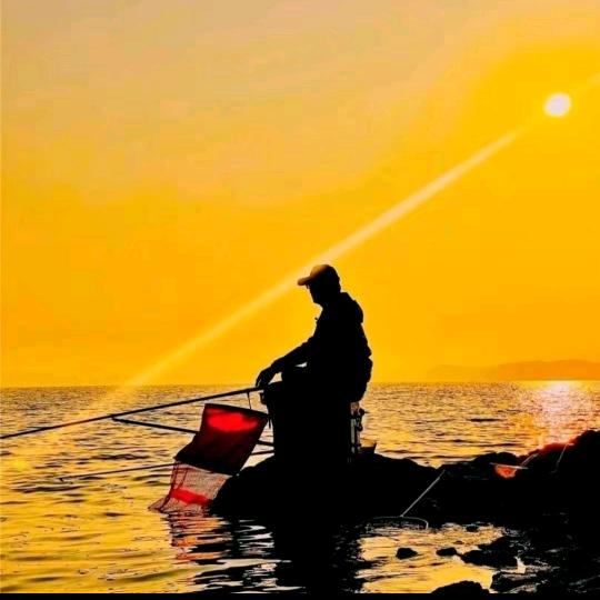 80后@信阳亮哥💯