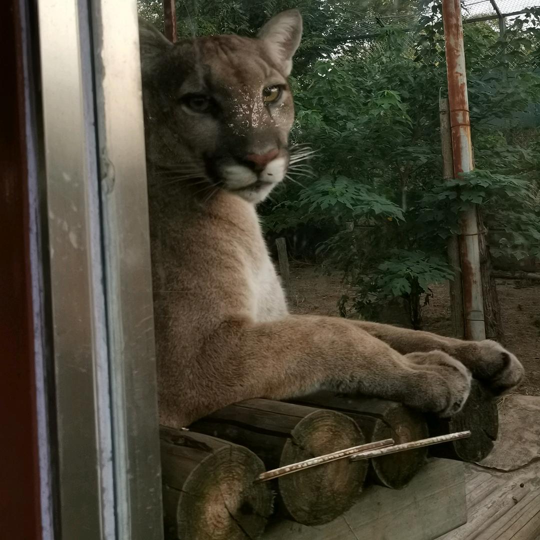 妖孽☞还不跪下