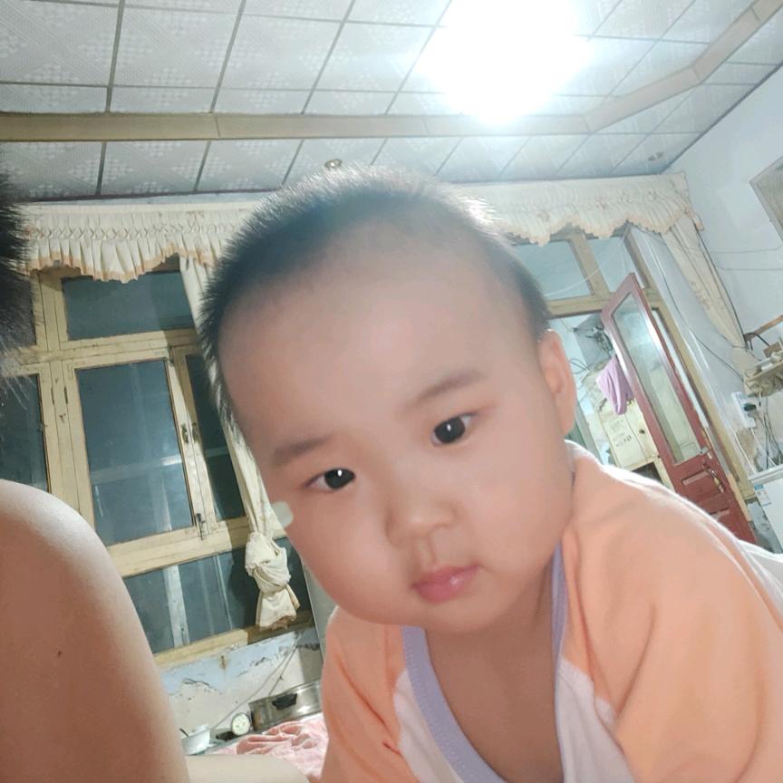 整个狼界我最羊