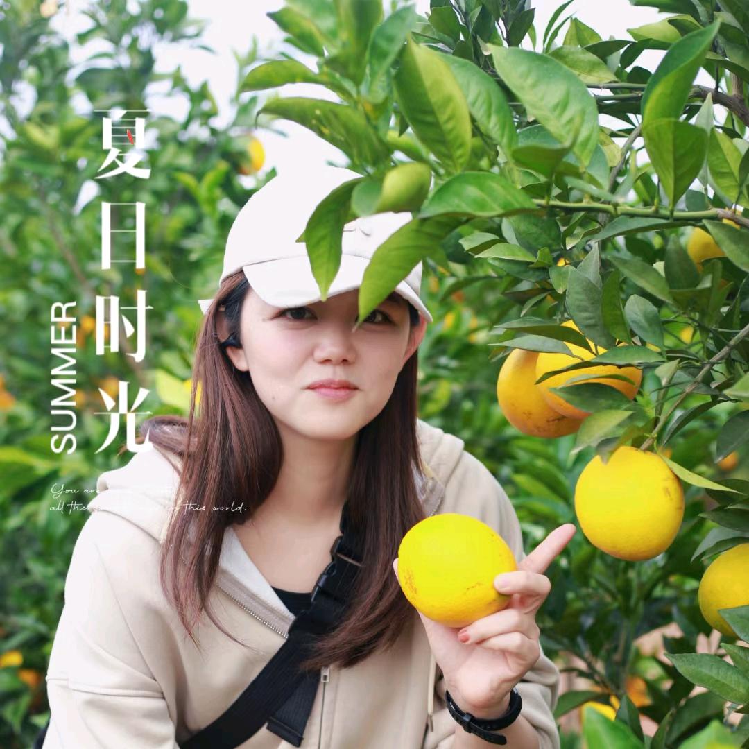 陈小纯