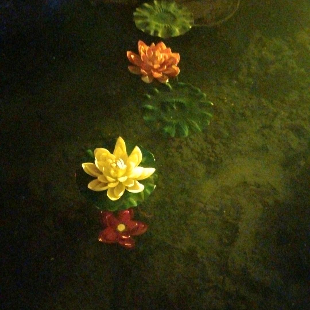 砥砺前行，加油