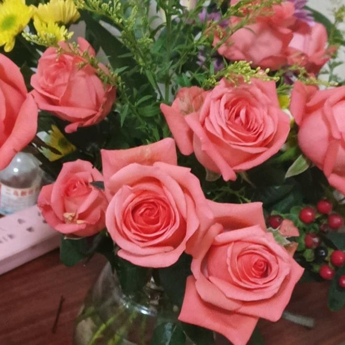 幸福快乐（请勿连赞）