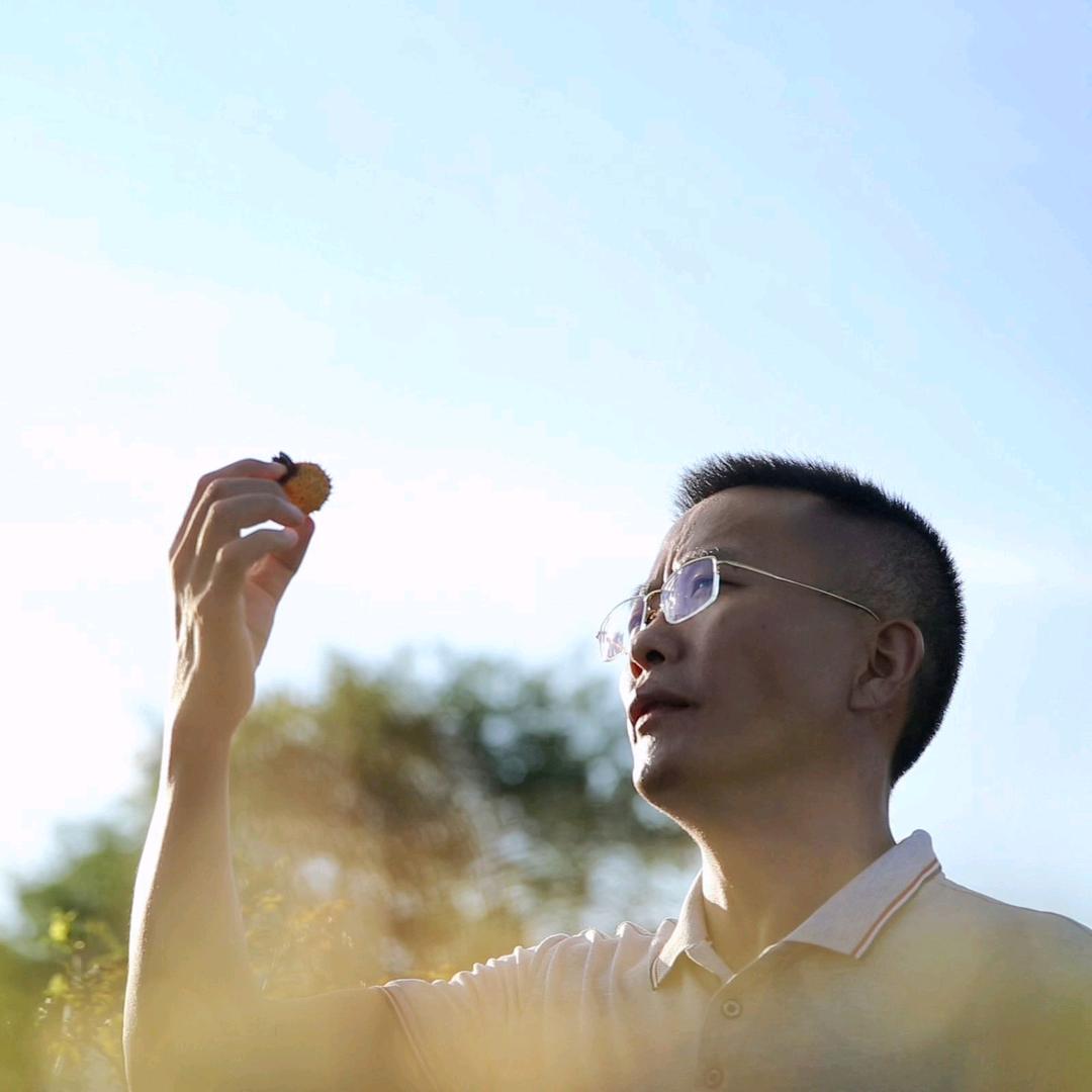 黄博士说刺梨