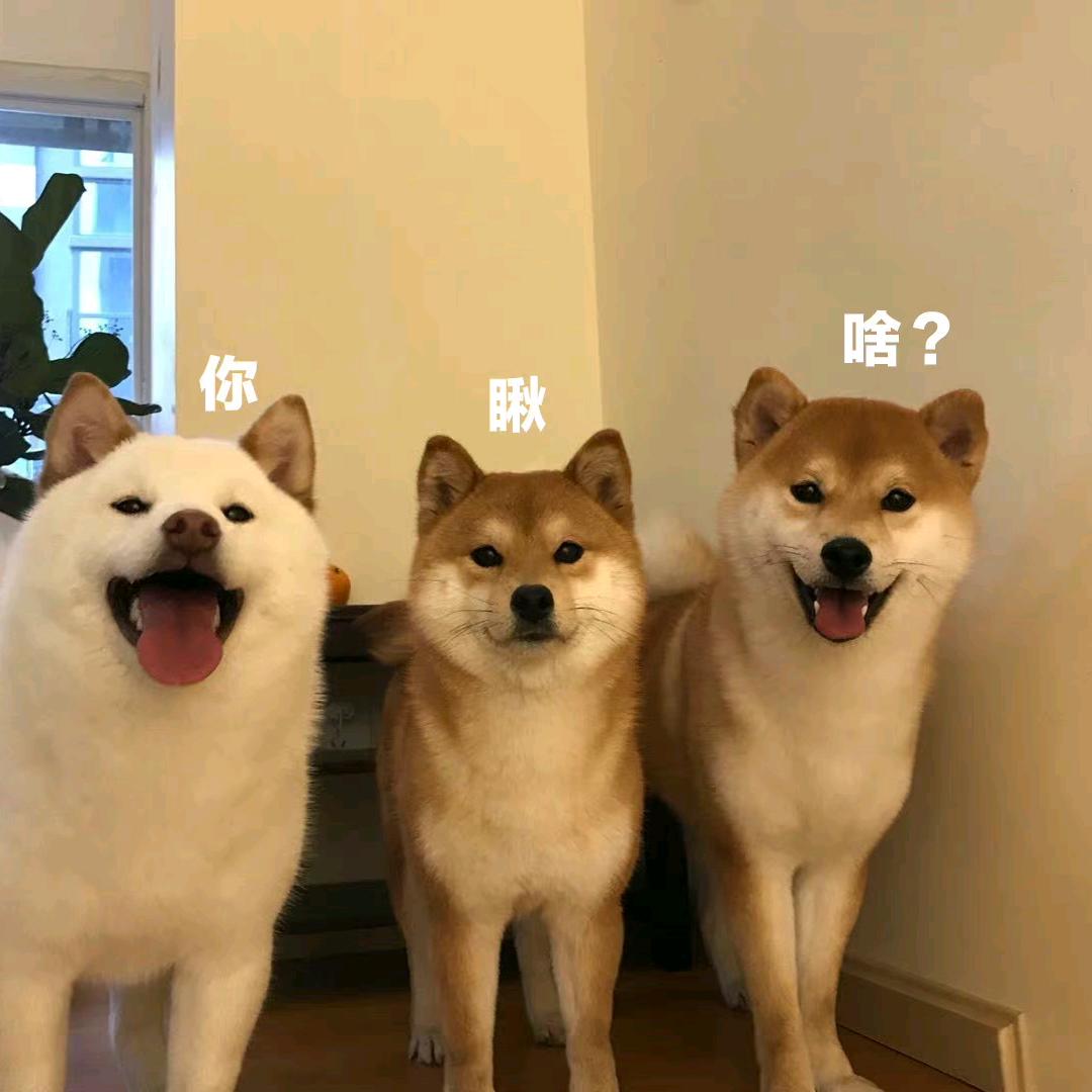小张同学