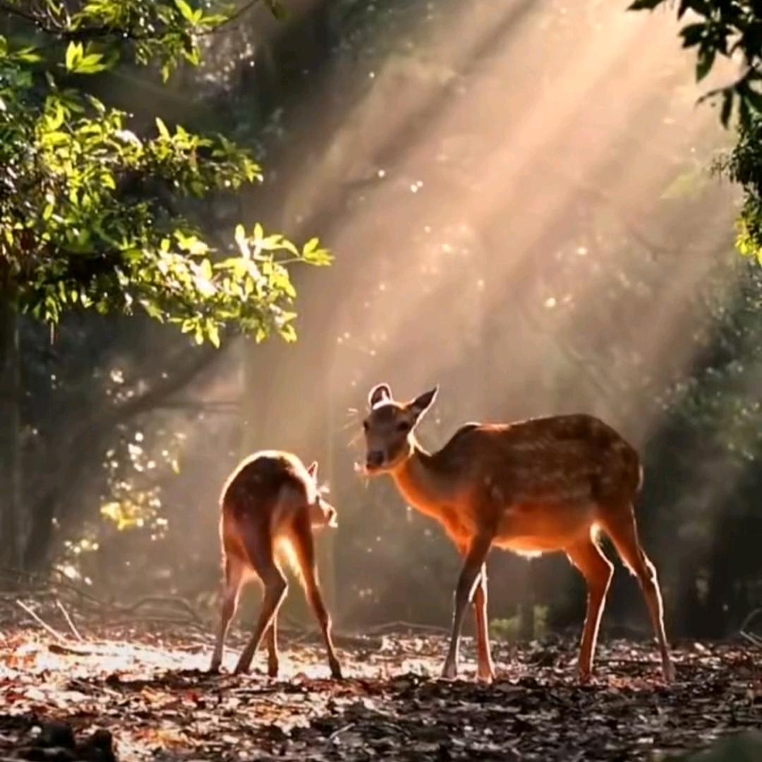 猛踢瘸子那支好腿