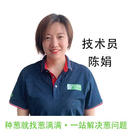 葱满满技术老师陈娟（每周二晚上19：30