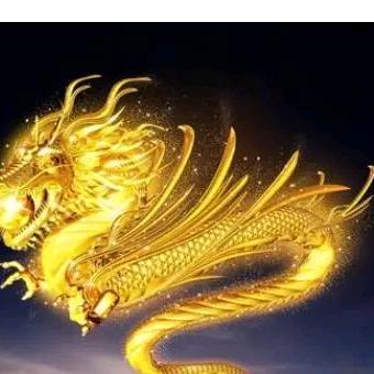 金龍