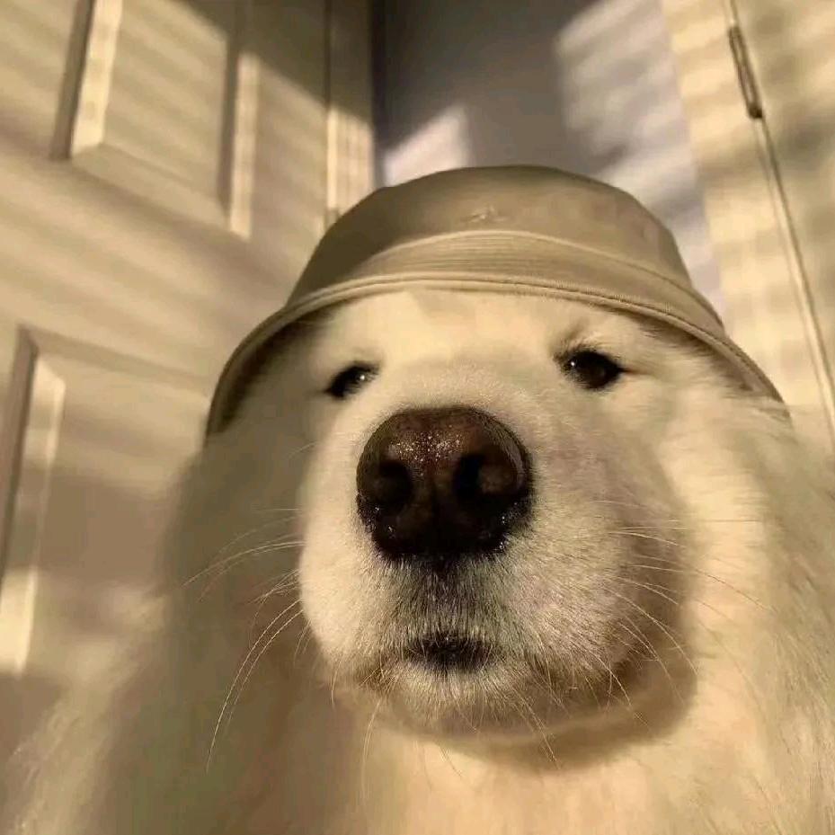 曾经有个英雄梦🍊