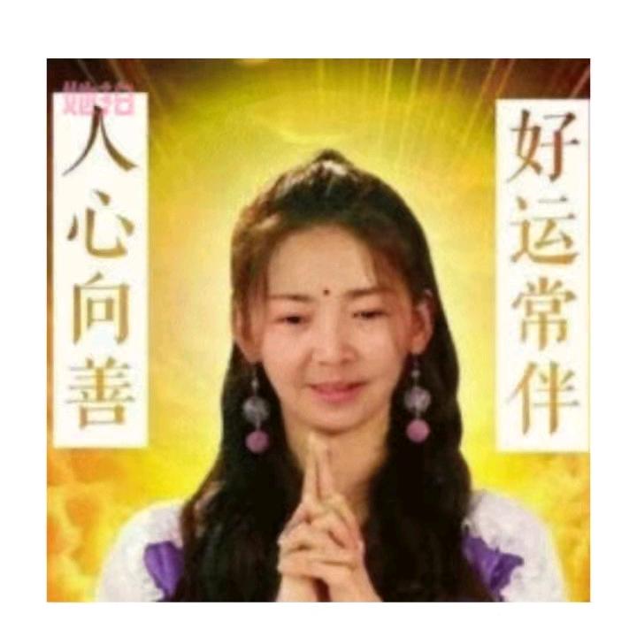 海棠6229