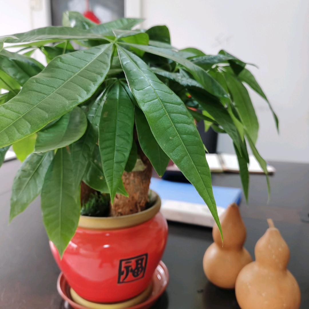 洗衣液老板娘