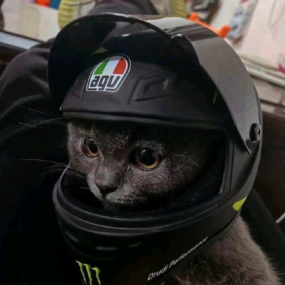 黑猫.