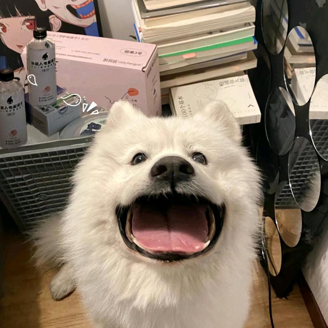 给你一jio呀