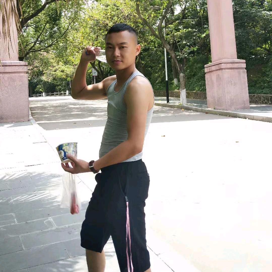 正宗雷9批发基地高桉苗场