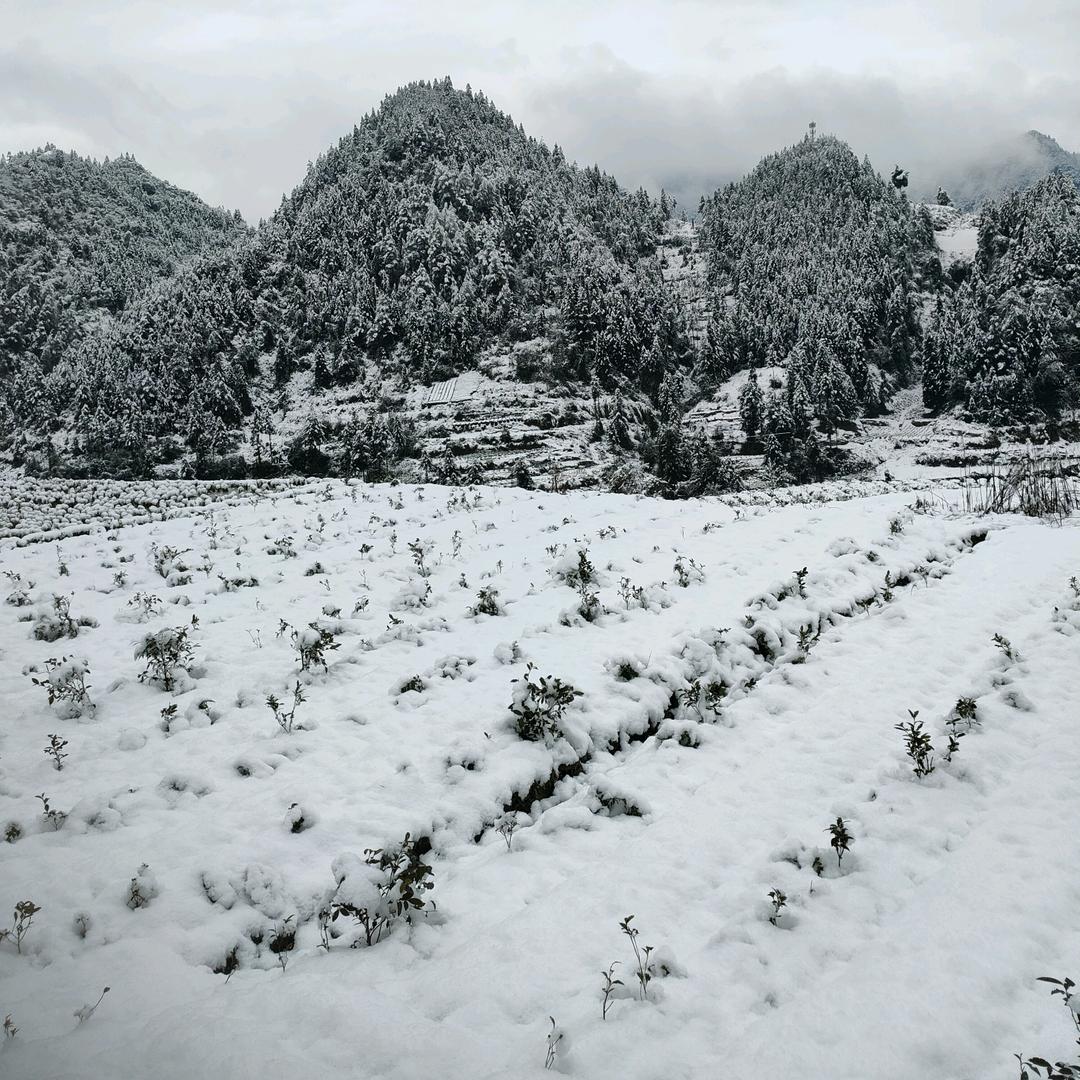 (σﾟ∀ﾟ)σ⁶⁶⁶⁶⁶⁶⁶⁶⁶⁶