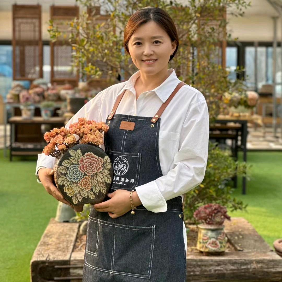 金姐妹韩盆多肉