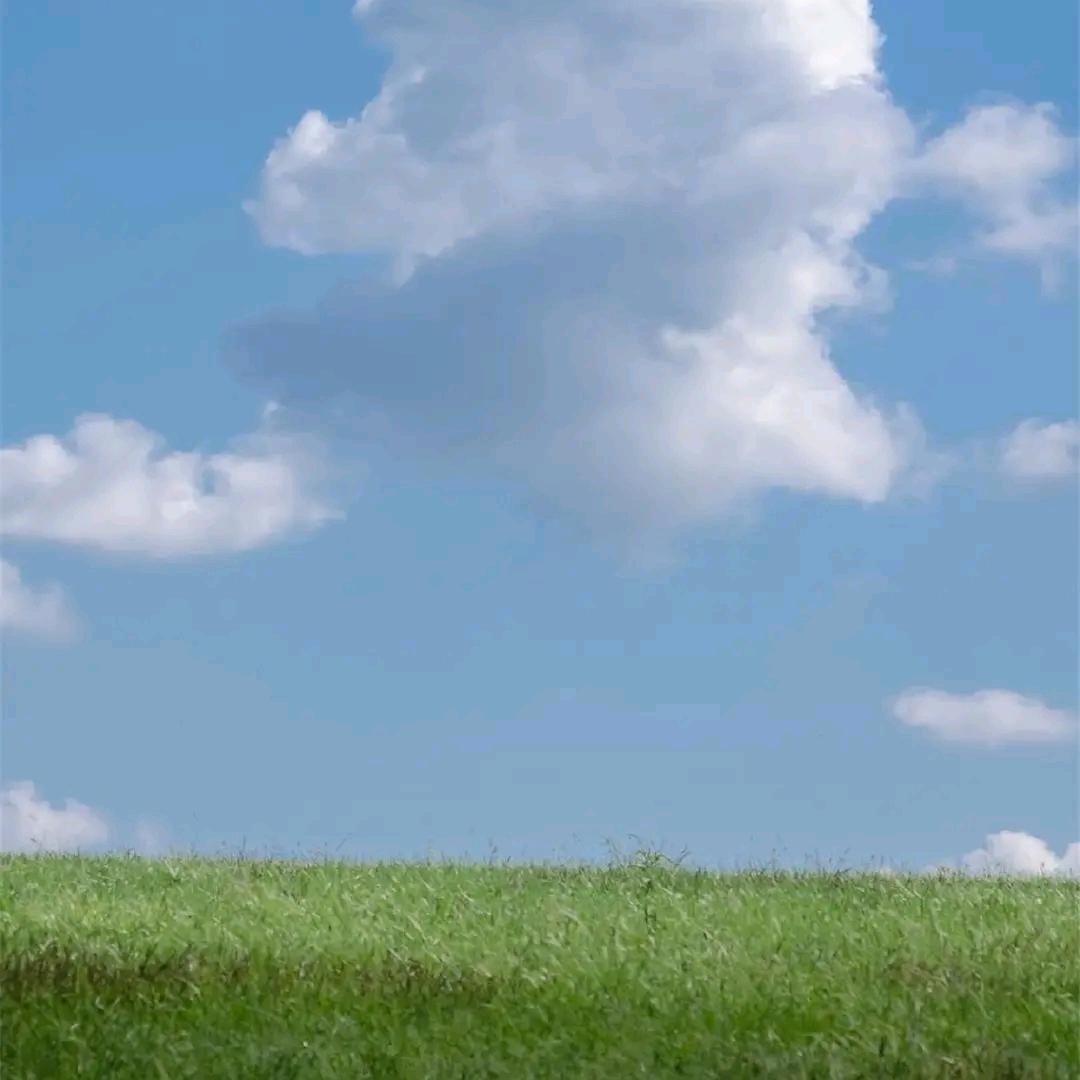 ^0^
