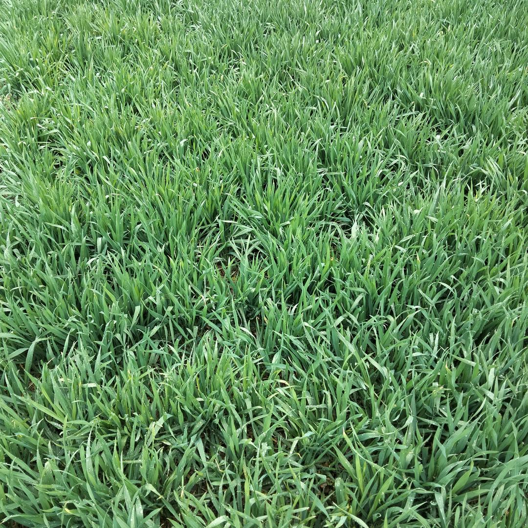 苏恩联系电话