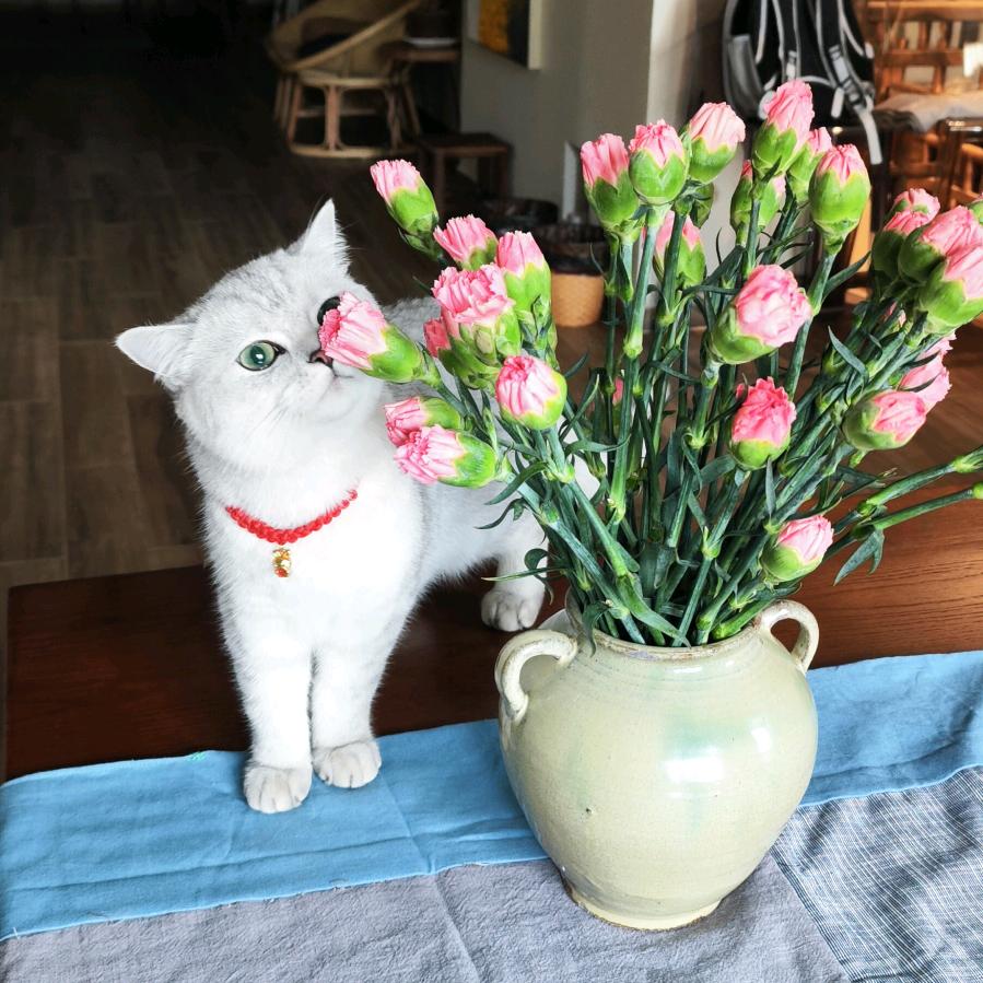 握瑜