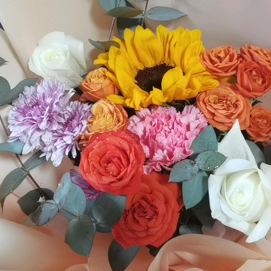 大美丽是只液体喵