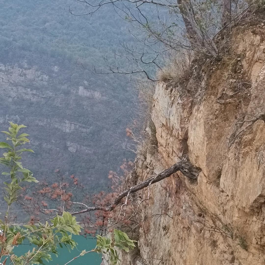 ╭(╯ε╰)╮往事如风&