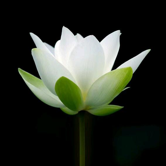 🌈清清净净🌈