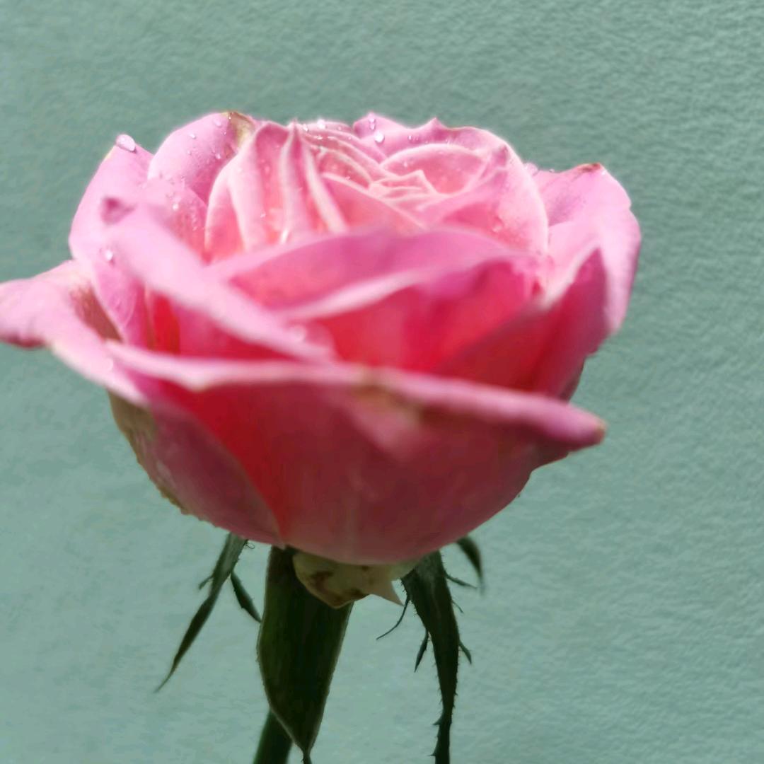 心理咨询师陪你读书旅游