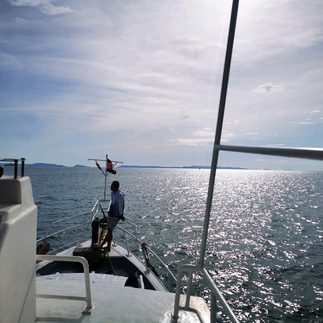 阳光彩虹小白马