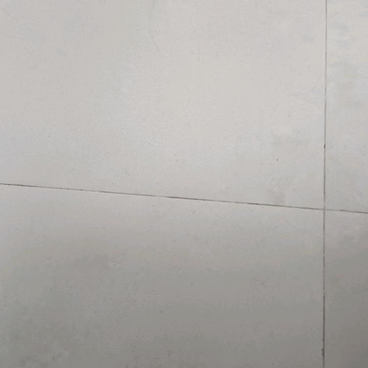 明天会更好