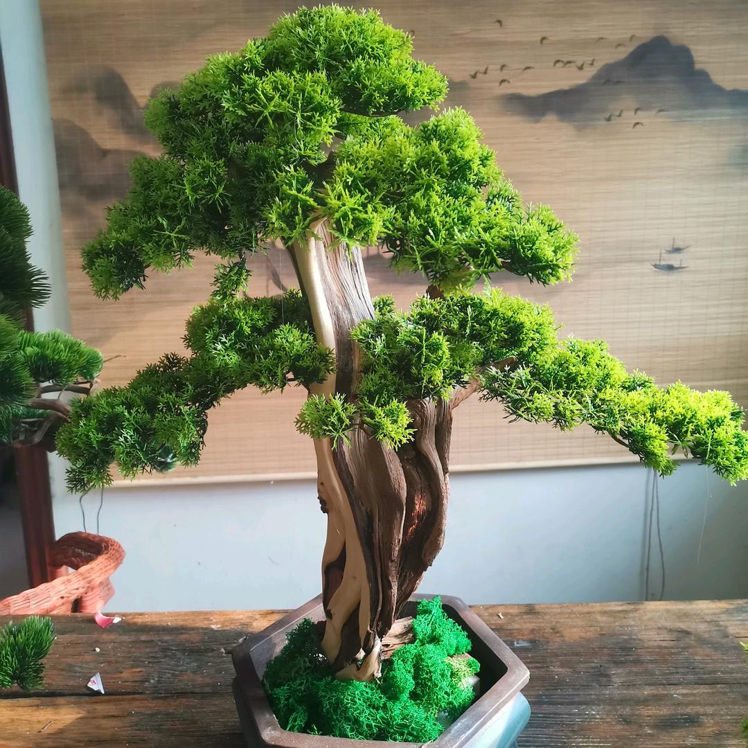 玖天揽月（曹师傅汽修部）